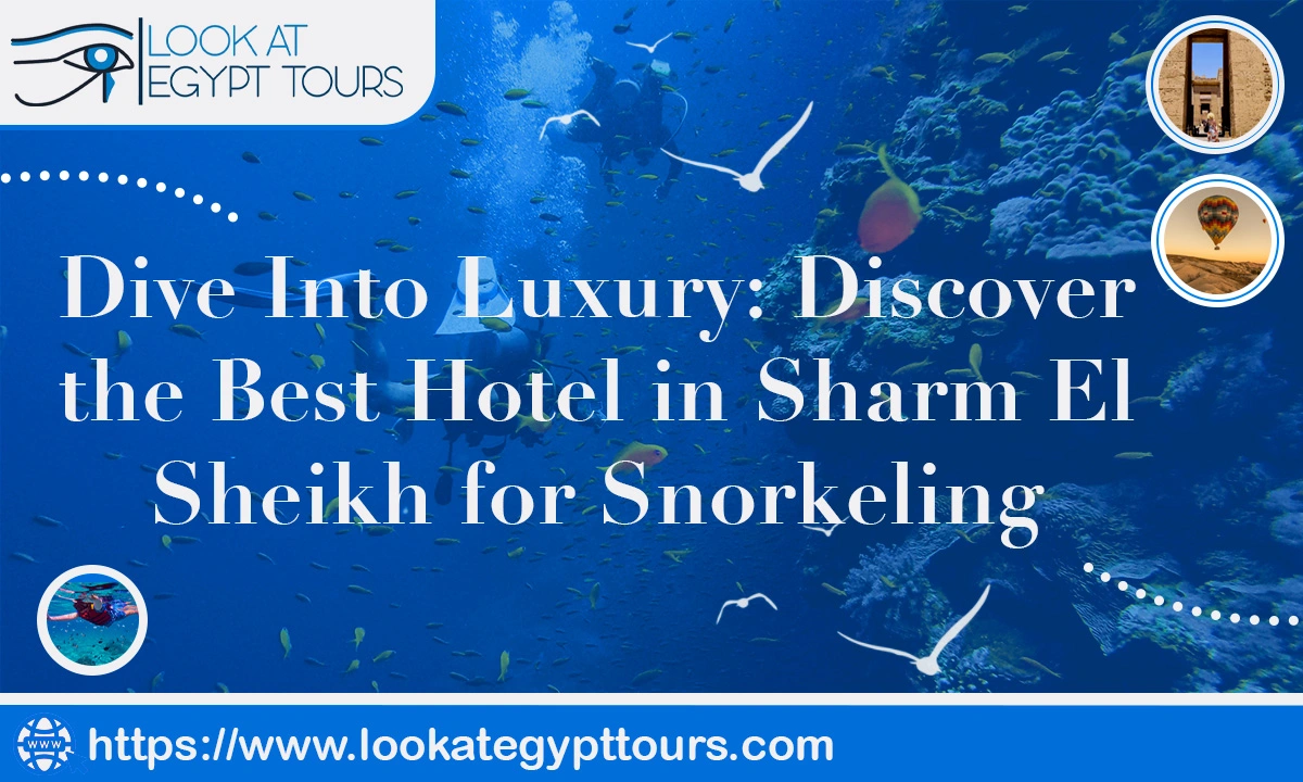 Lüksün Tadına Dalın: Şarm El Şeyh'te Şnorkelli Yüzme İçin En İyi Oteli Keşfedin